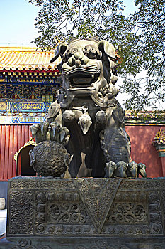 dự đoán 3 miền