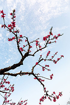 xổ số kiến thiết miền nam