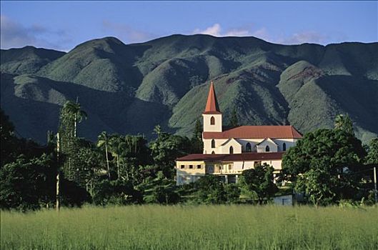 soi cau thu