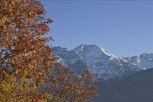 cau lo rong bach kim