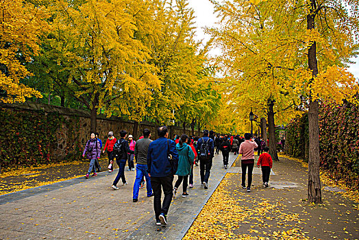 xổ số đại nam