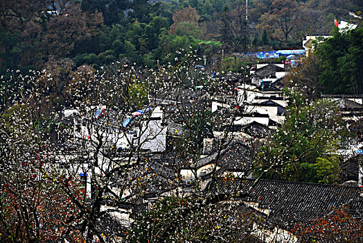cách soi đề