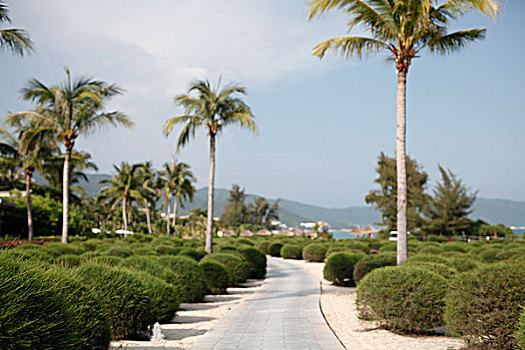 xổ số vĩnh long