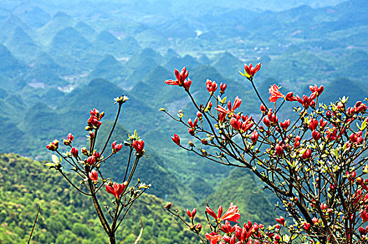 soi cầu 247