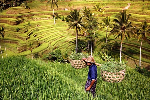 xổ số miền nam hôm nay minh ngọc