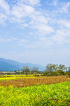 xổ số thứ năm