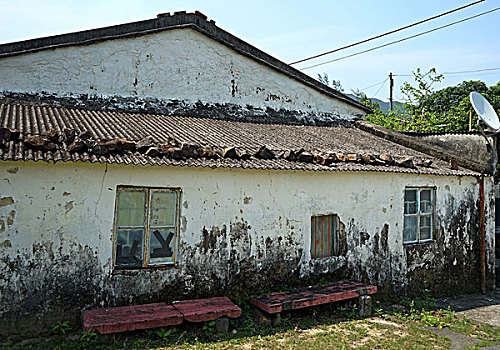 soi cau lo bach kim