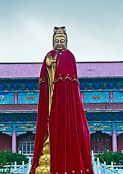 soi cau lo bach thu khung 3 ngay
