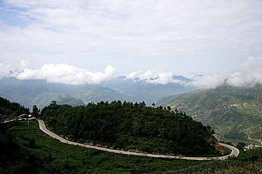lo bach thu khung 3