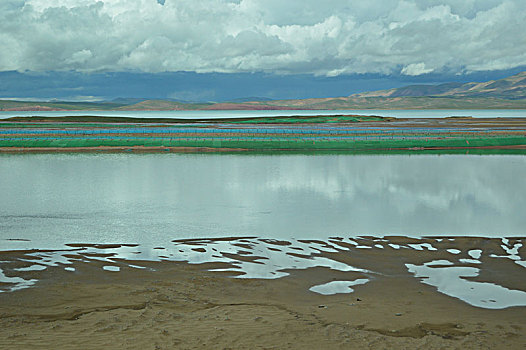 bach thu ngay mai