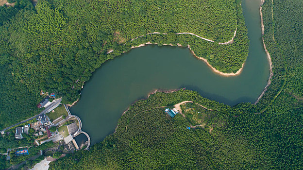 lô bạch thủ miễn phí