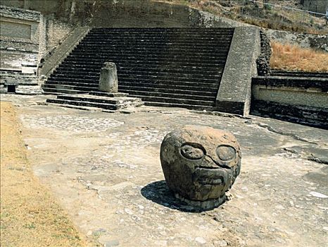 đề hôm nay con gì