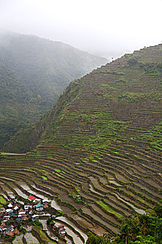 lo bach thu khung 3 ngay mien phi