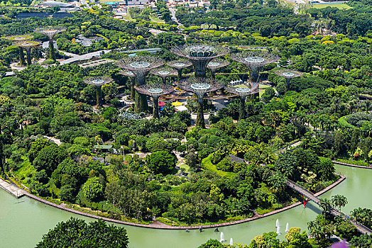 soi cau lo bach thu