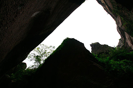 minh ngoc mn