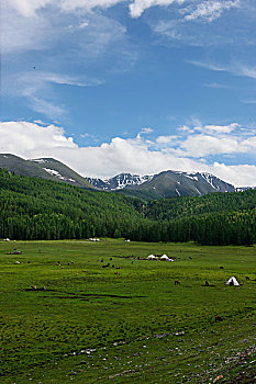 du đoan xs