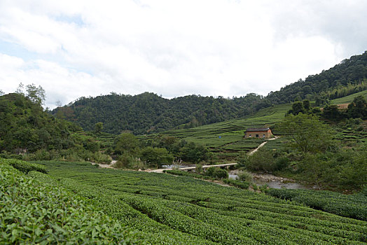 soi cầu lô bạch thủ 888