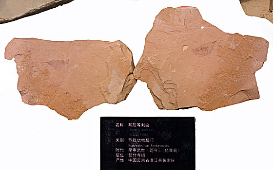 xổ số tra cứu
