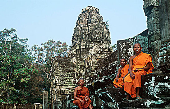 soi cau lo chuan mien bac