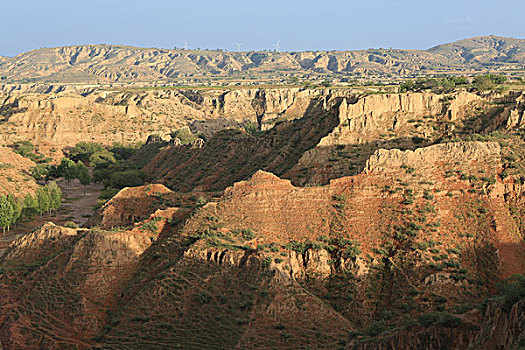 lô kep mien bac