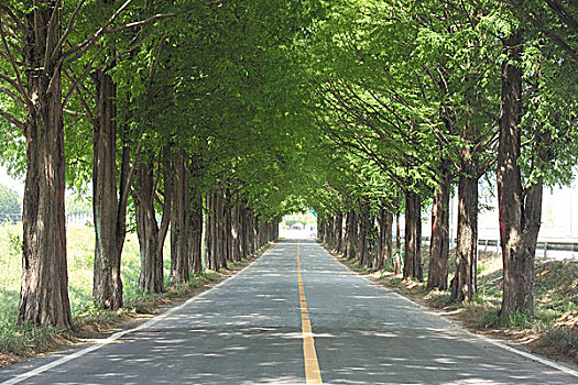 kqxs binh dinh