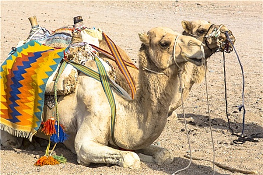 xsmb thu 3 du doan