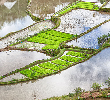 cầu lô miền bắc