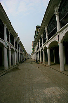 lo gan rong bach kim