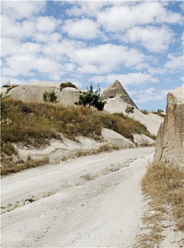 bạch thủ lo hôm nay