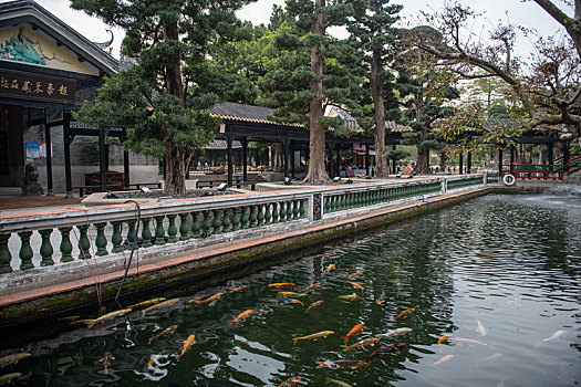 chốt lô