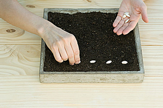 số xổ số miền bắc