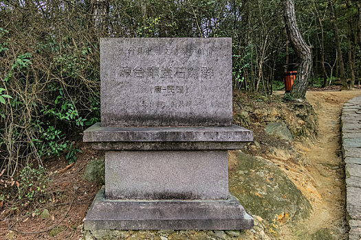 soi cau 247 net bach thu khung ngay