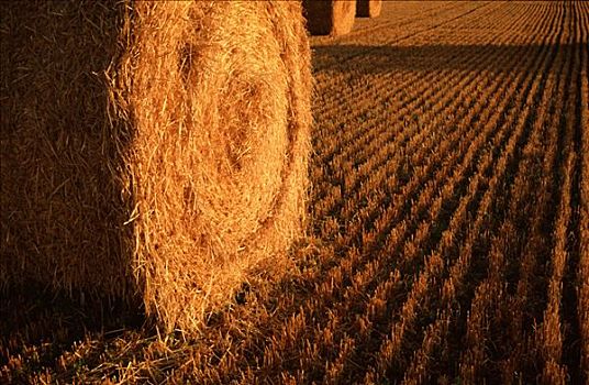 cầu lô kép miền bắc hôm nay
