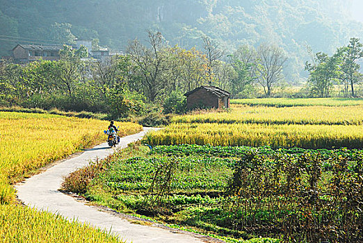 xô số miền bắc