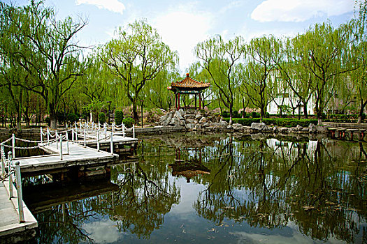 soi cau lo de bach thu