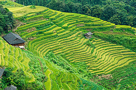 kqxs tien giang