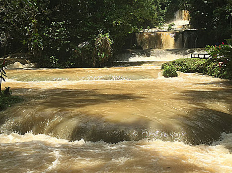 xem phim ban tinh ca