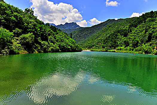 bach thu lo chuan