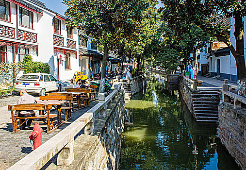 rong vang bach kim