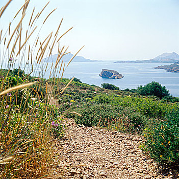 xs đà nẵng