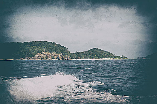 soi bạch thủ lô