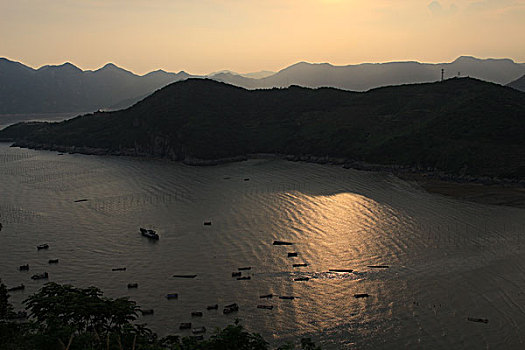 soi lo bach thu hom nay