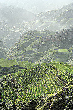 soi cau minh ngoc