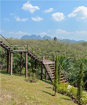 bình luận xổ số
