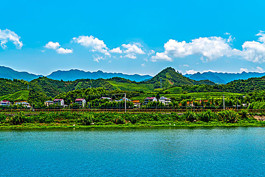 soi cau mien bắc