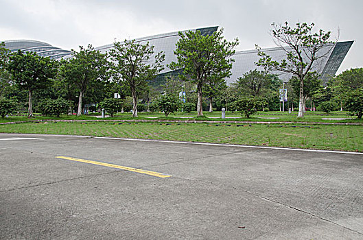 soi cau rong bach kim