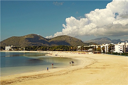 cau bach thu