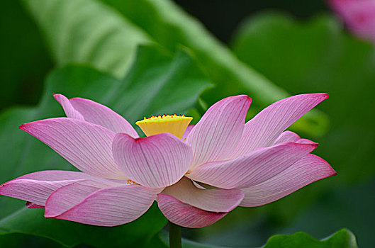 soi cau xsmb 568