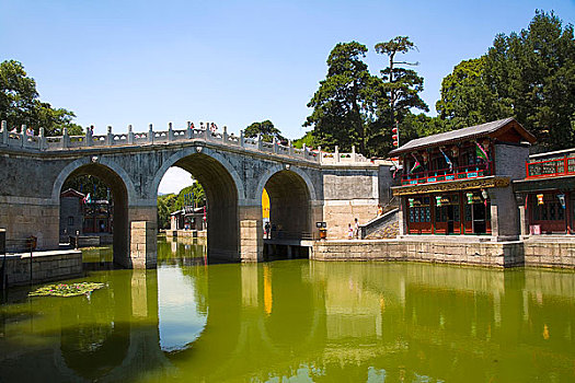 rong bach kim 888