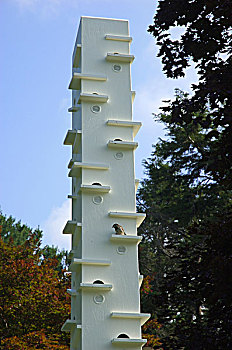 soi cầu vàng 6789